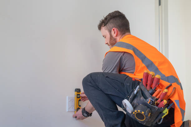 Best Electric Panel Repair  in Princeton, WI