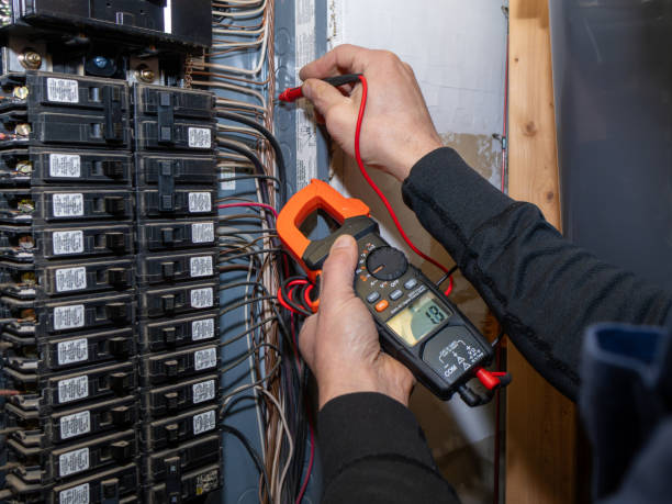 Best Ceiling Fan Installation Electrician  in Princeton, WI